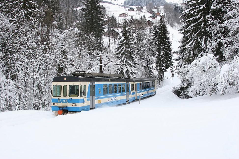 Le SépeyChalet Diana别墅 客房 照片